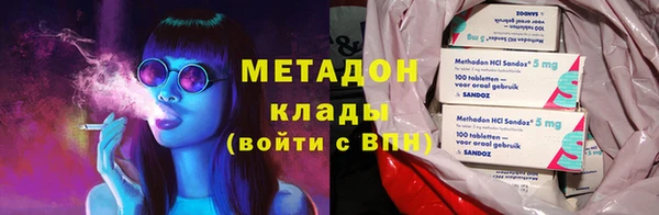 прущие грибы Богданович