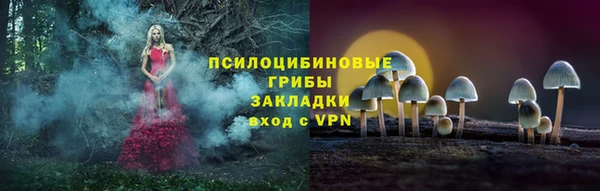 прущие грибы Богданович