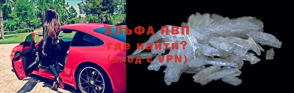 прущие грибы Богданович