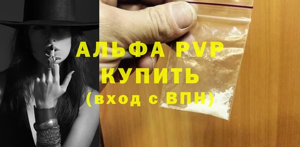 прущие грибы Богданович
