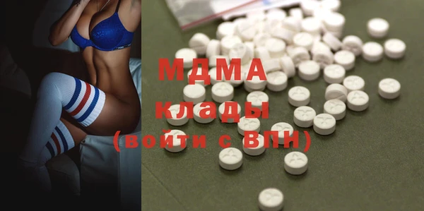 прущие грибы Богданович