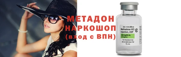 прущие грибы Богданович