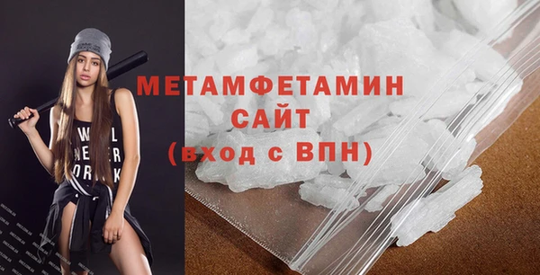 прущие грибы Богданович