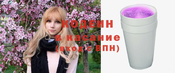 прущие грибы Богданович